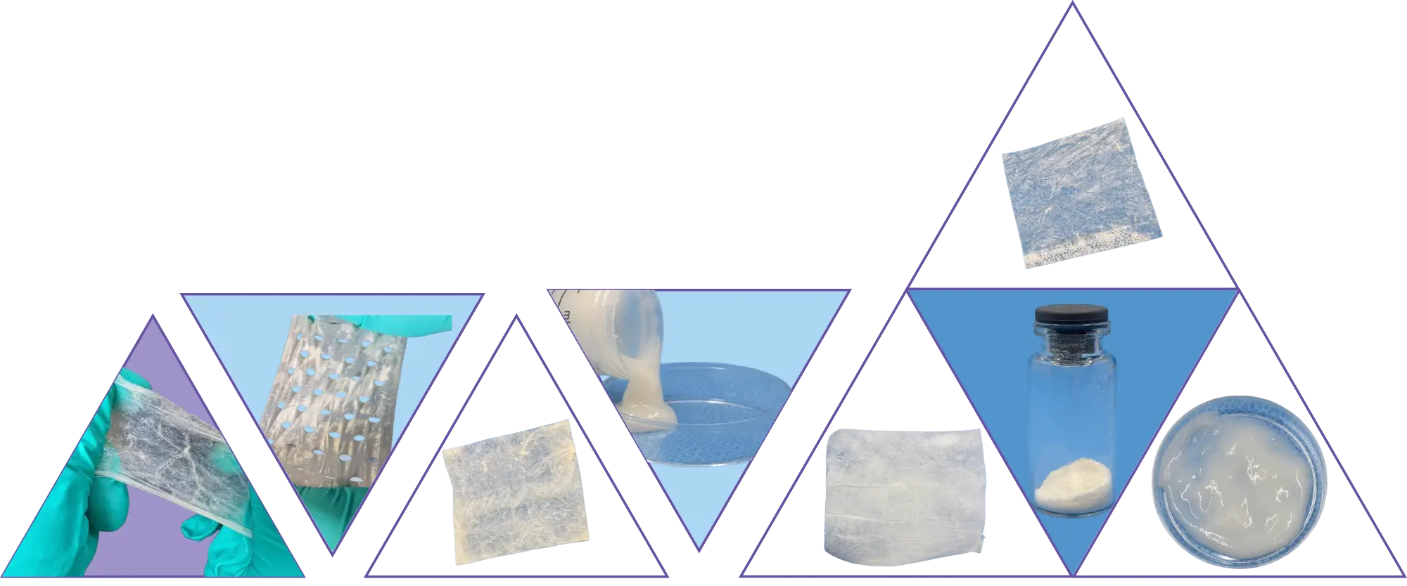 VitanatiV™ ECM Form Factors